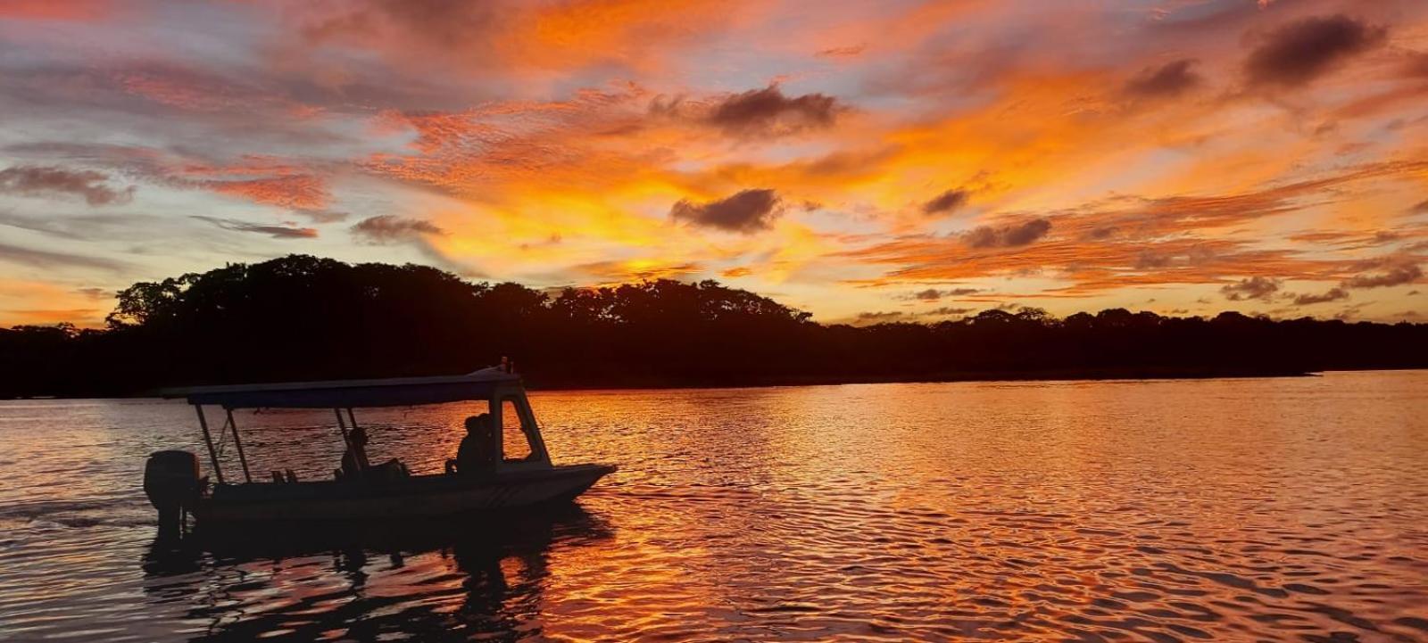 Tortuguero Casa De Playa Green House Daire Dış mekan fotoğraf